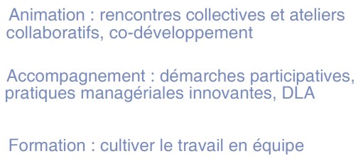 Icynergie carte de visiteverso