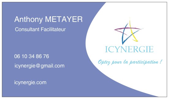 Icynergie carte de visite 2